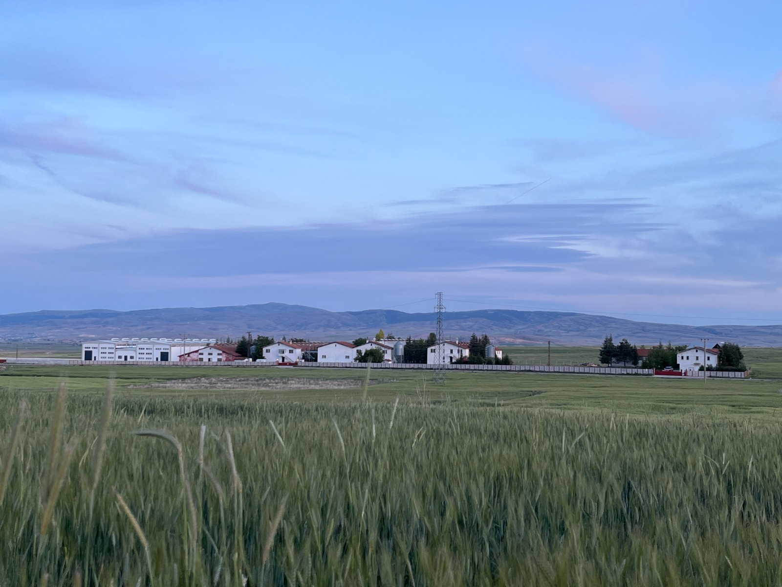 Genelioğlu Gıda Tesisi